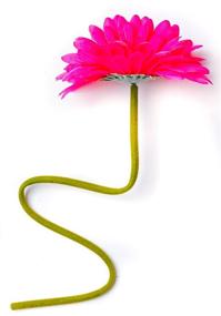 img 1 attached to CraftMore Inch Gerbera Daisy Stems