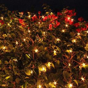 img 2 attached to 🎄 Enhance Your Holiday Décor with Joiedomi 2x100 Warm White Incandescent Christmas Net Lights