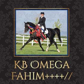 img 1 attached to Breyer Horses Traditional Omega Fahim