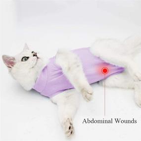 img 3 attached to Cat Professional Recovery Suit: Abdominal Wound & Skin Disease Aid, Vet-Recommended Alternative to E-Collars, Post-Surgery Wear to Prevent Licking