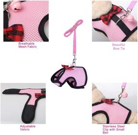 img 1 attached to 🐹 Nononfish Guinea Pig Accessories: Adjustable Soft Mesh Small Pet Harness with Safe Bell – Comfortable Padded Vest for Rats, Iguana, Bearded Dragon, Baby Ferret, and More!