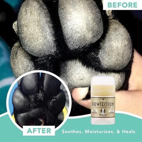 img 1 attached to 🐾 Organic Paw Balm by Natural Dog Company: Shields Dog Paws from Hot Surfaces, Sand, Salt, & Snow with All-Natural Ingredients