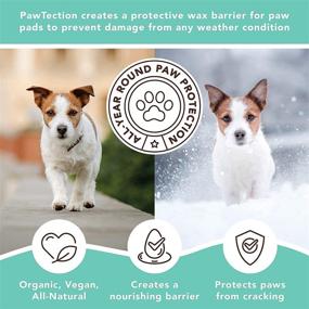 img 3 attached to 🐾 Organic Paw Balm by Natural Dog Company: Shields Dog Paws from Hot Surfaces, Sand, Salt, & Snow with All-Natural Ingredients