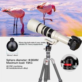 img 1 attached to 🔝 High Performance Koolehaoda Low Profile Ball Head with Arca Swiss Quick Release Plates - Max Load 26lbs/12kg, φ36mm Ball Diameter for DSLR Cameras Tripods Monopods - (E2)