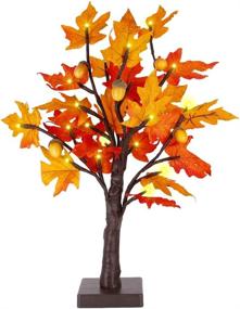 img 4 attached to Maple Tree Tabletop Lighted Decoration with 24 LEDs - Battery Operated, Perfect for Thanksgiving, Fall, and Autumn Decor - Maple Leaves and Acorn - Ideal for Indoor Home Bedroom