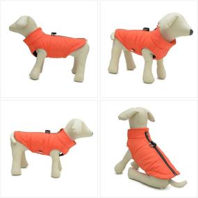 img 3 attached to 🐶 Winter Dog Vest with Cozy Cotton Lining, Waterproof and Insulated Ultra-Warm Dog Winter Coat, Windproof Zippered Jacket, Breathable Soft Dog Clothes for Small, Medium, and Large Dogs