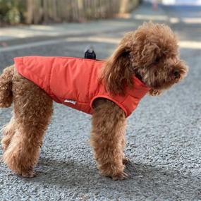 img 1 attached to 🐶 Winter Dog Vest with Cozy Cotton Lining, Waterproof and Insulated Ultra-Warm Dog Winter Coat, Windproof Zippered Jacket, Breathable Soft Dog Clothes for Small, Medium, and Large Dogs