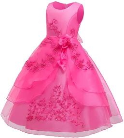 img 3 attached to 👗 Girls' Clothing: Shiny Toddler Birthday Petticoat with Embroidery