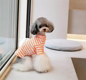 img 3 attached to 🌈 KILLUA Cute Striped Rainbow Fly Sleeve Dog Clothes, Perfect for Spring, Summer, and Autumn - Ideal for Sports, Parties, and Special Occasions…