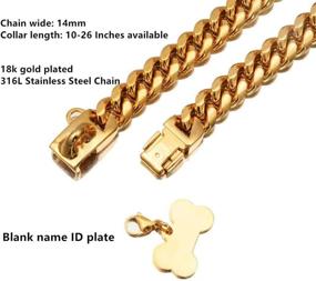 img 1 attached to 🐶 Exquisite 18K Gold Plated Dog Collars with Safety Buckle for Small, Medium, and Large Breeds - Personalized Luxury Thick Chain Necklaces for Pitbulls and French Puppies - Cuban Link Training Collars in 316L Stainless Steel