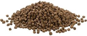 img 1 attached to 🐱 Natural Dry Cat Food - Holistic Kitten Power Dinner Feline PowerFood - Chicken & Turkey Blend by Only Natural Pet