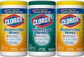 img 4 attached to Clorox 30208 Disinfecting Wipes Value