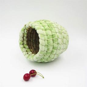 img 2 attached to 🏡 Handmade Woven Grass Bird Hut for Budgie, Cockatiel, Canary, Finch, Lovebird, and Small Parrot - YJJKJ