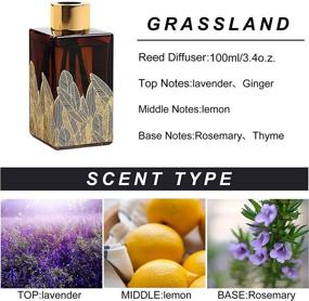 img 3 attached to 🌿 Qingbei Rina Lavender Reed Diffuser Scent for Home Fragrance Decor Products for Cars, Cubicles, Small Rooms, Bathroom, and Office Aromatherapy - Gift Set with 3.4oz (100ml) Diffuser Oil Sticks