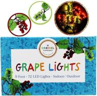 🍇 gorgeous 9 ft grape lights garland decorations with 72 luscious grapes logo