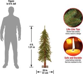 img 2 attached to 🎄 4 ft National Tree Company Hickory Cedar Artificial Christmas Tree