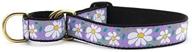 🌼 stylish and durable up country daisy martingale dog collar - medium (12.5-20 inches) - 1 inch width logo