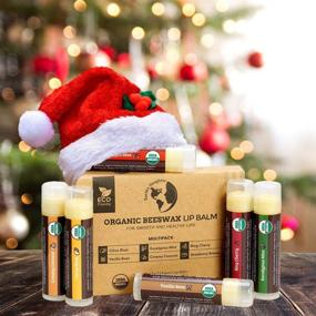 img 3 attached to 🍓 Earth's Daughter USDA Organic Lip Balm 6-Pack - Fruit Flavored Stocking Stuffer for Dry Cracked Lips with Beeswax, Coconut Oil, and Vitamin E