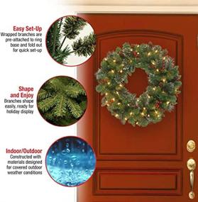 img 1 attached to 🎄 National Tree Company Pre-Lit Artificial Christmas Wreath: Green Crestwood Spruce, 24 Inches, White Lights, Pine Cones and Berry Clusters