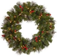 🎄 national tree company pre-lit artificial christmas wreath: green crestwood spruce, 24 inches, white lights, pine cones and berry clusters logo