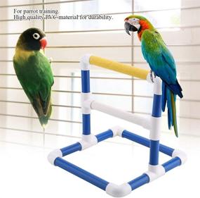 img 2 attached to HEEPDD Bird Perch Platform: Premium Training Stand for Parrots - Ideal for Macaws, Cockatoos, African Greys, and More!