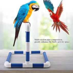 img 1 attached to HEEPDD Bird Perch Platform: Premium Training Stand for Parrots - Ideal for Macaws, Cockatoos, African Greys, and More!