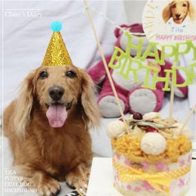 img 1 attached to Pet Birthday Hat & Bow Tie 🎉 Set: Universal Party Accessories for Dogs & Cats