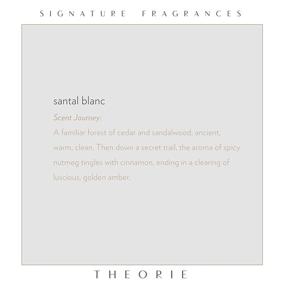 img 1 attached to 🌿 THEORIE Santal Blanc Hand and Body Wash: Luxurious, Vegan Soap with Antimicrobial Properties and Exquisite Fragrance- 400mL Pump Bottle