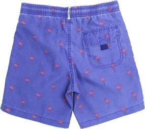 img 3 attached to 🍍 Pineapple InGear Little Swimsuit - Size 14 - Boys' Swimwear