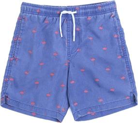 img 4 attached to 🍍 Pineapple InGear Little Swimsuit - Size 14 - Boys' Swimwear