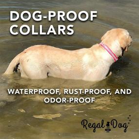 img 1 attached to 🐶 Regal Dog Products Pink Reflective Waterproof Hunting Dog Collar - Sizes for Small, Medium and Large Dogs (Medium - Fits 13 to 19 Inches)