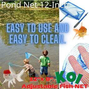 img 1 attached to 🎣 CORISRX Koi Adjustable Fish NET Handle 12x8, Aluminum, Blue - Enhance Your Lifestyle with the Best Fishing Pond Tool!