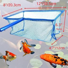 img 2 attached to 🎣 CORISRX Koi Adjustable Fish NET Handle 12x8, Aluminum, Blue - Enhance Your Lifestyle with the Best Fishing Pond Tool!