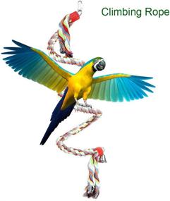 img 1 attached to Товары для скалолазания Yosoo Parrots