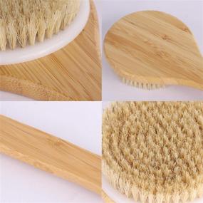 img 1 attached to 🛀 2-Piece Dry Bath Body Brushes: Wooden Handle, Natural Bristles for Exfoliating and Removing Dead Skin