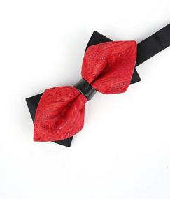 img 1 attached to ELPA ELPA Boys Bowtie: Stylish Adjustable Pre-Tied Fashion Bowtie