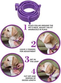 img 3 attached to 🐾 Waterproof Calming Collar for Cats & Dogs – Adjustable, Long-lasting Natural Calm, Reduces Anxiety & Promotes Wellness – 3 Pack