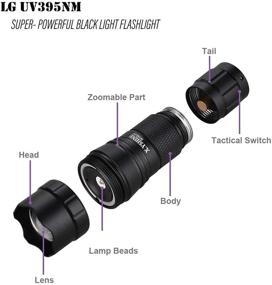 img 3 attached to Pocket Zoomable Mini LED UV Flashlight Black Light, 395nm Ultraviolet, Rechargeable Battery & Charger included for Detecting Pet Urine Stain & Bed Bug