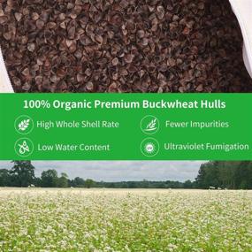 img 1 attached to 🌾 Premium Organic Buckwheat Pillow for Cool and Supportive Sleep - Neck Support for Back and Side Sleepers - Small Size (15" x 9")