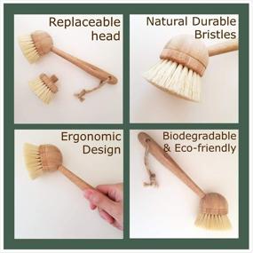 img 3 attached to 🧽 Milieco Natural Cleaning Kitchen Maxi Scrub Brush with Replaceable Brush Head for Dish, Cast Iron Skillet, Pots, and Pans - Bamboo Handle and Sisal Bristles - 100% Eco-friendly