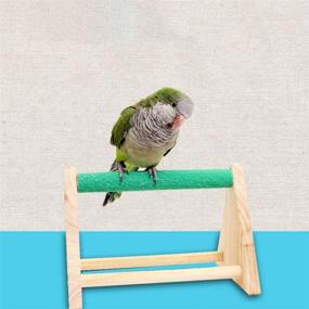 img 3 attached to 🐦 POPETPOP Bird Stand Rack: Handmade Chicken Perch & Toy for Parrot Hens Macaw - Chicken Stand Swing, Wood Stand & Perch Toy for Chickens