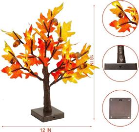 img 3 attached to 🍁 Thanksgiving Artificial Lighted Tabletop Maple Tree: Enhance Fall Ambiance with 24 LED Lights, Battery Powered Timer, Perfect Centerpiece for Indoor Harvest Home Decor