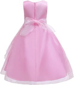 img 2 attached to 👗 Girls' Clothing Dresses with Beaded Birthday Petticoat Embroidery