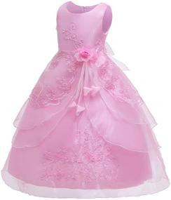 img 3 attached to 👗 Girls' Clothing Dresses with Beaded Birthday Petticoat Embroidery