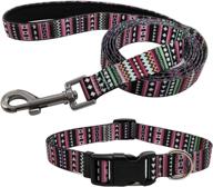 🐾 enhance your pet's style with the btinesful colorful nylon 6ft leash and adjustable cute collar combo for medium and small dogs logo