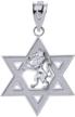 polished sterling silver israel pendant logo