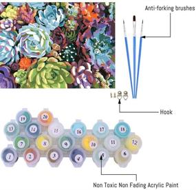 img 3 attached to 🎨 Набор для творчества в стиле суккулентов с техникой масляной живописи для взрослых и детей – рисование по номерам на холсте для домашнего декора, 16" x 20" (без рамы)