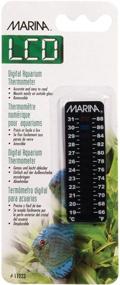 img 1 attached to 🌊 Diameterorado Marina", temperature range 66 to 88 degrees Fahrenheit / 19 to 31 degrees Celsius