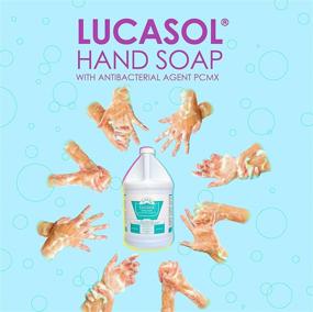 img 1 attached to 🧴 1 Gallon of Lucasol Antibacterial Hand Soap with a Mild and Fragrance-Free Formula