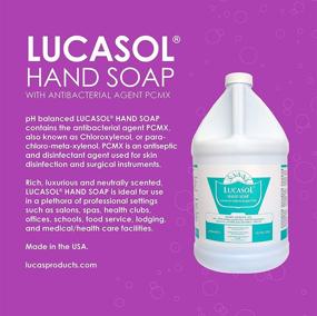 img 2 attached to 🧴 1 Gallon of Lucasol Antibacterial Hand Soap with a Mild and Fragrance-Free Formula